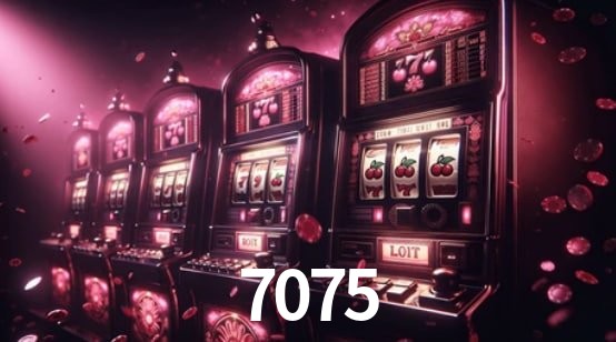 Programa VIP 7075