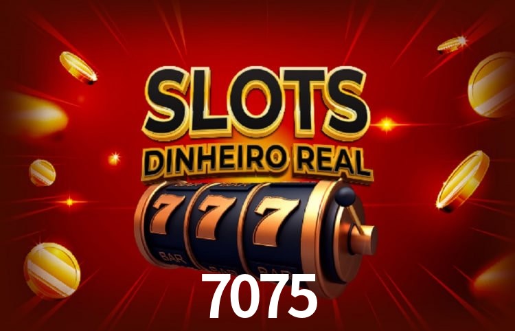 7075 Salvador - Support